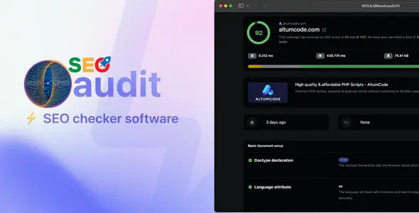 SEO Audit preview